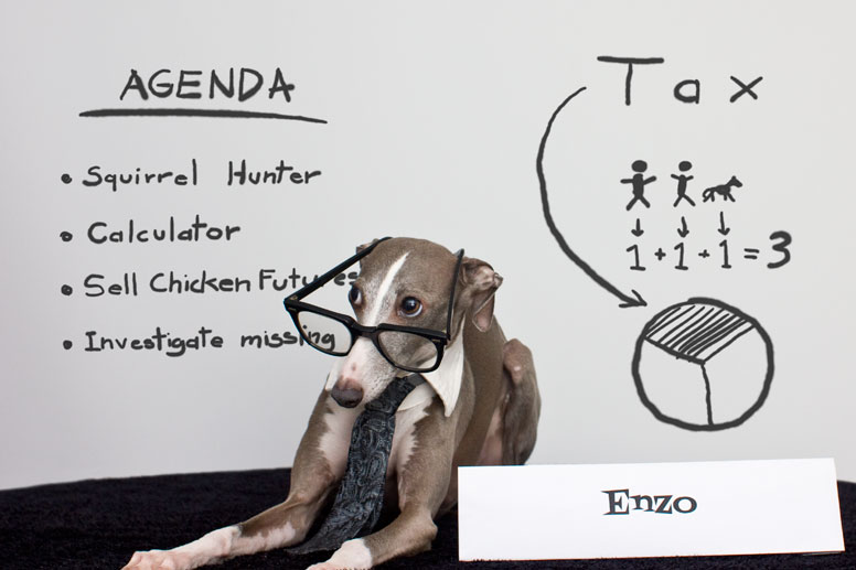 Enzo at the whiteboard and wearing glasses