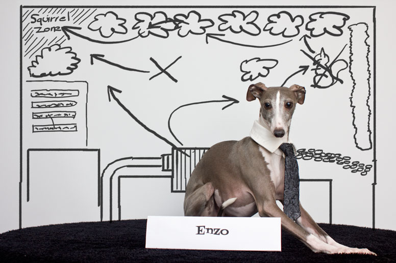 Enzo at whiteboard with an action plan and map of yard