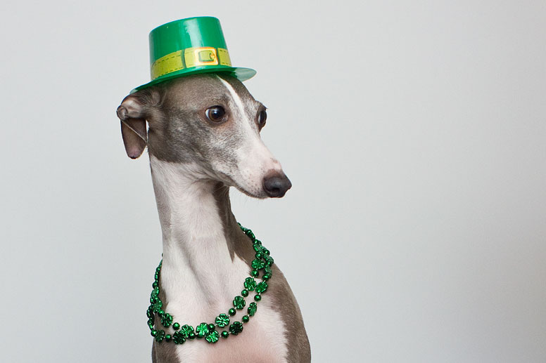 Enzo wearing a green hat and green beaded necklace for St Patrick's day