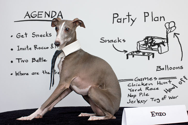 Enzo at whiteboard with party planning ideas