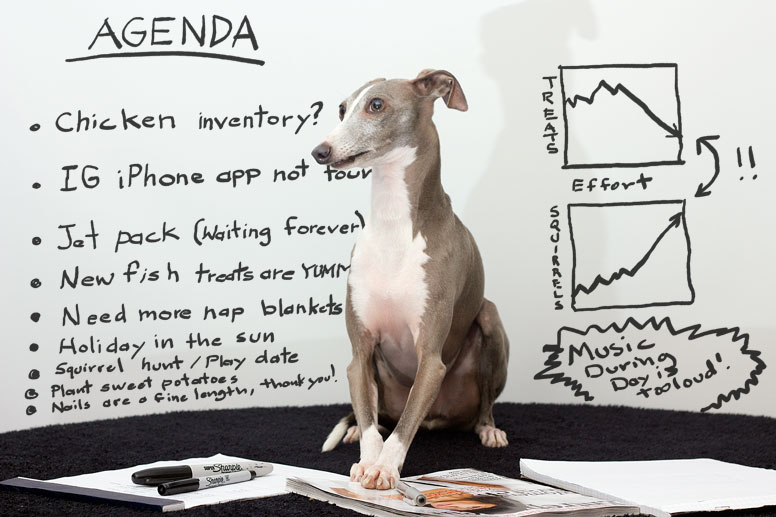 Enzo at whiteboard