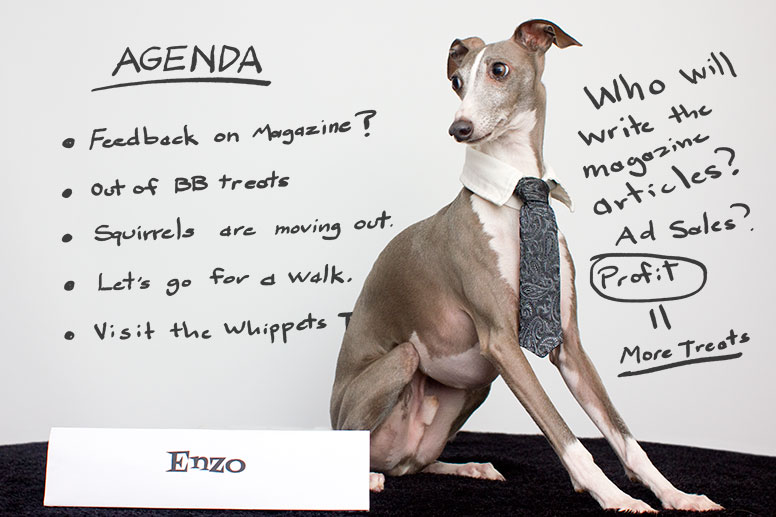 Enzo at the whiteboard