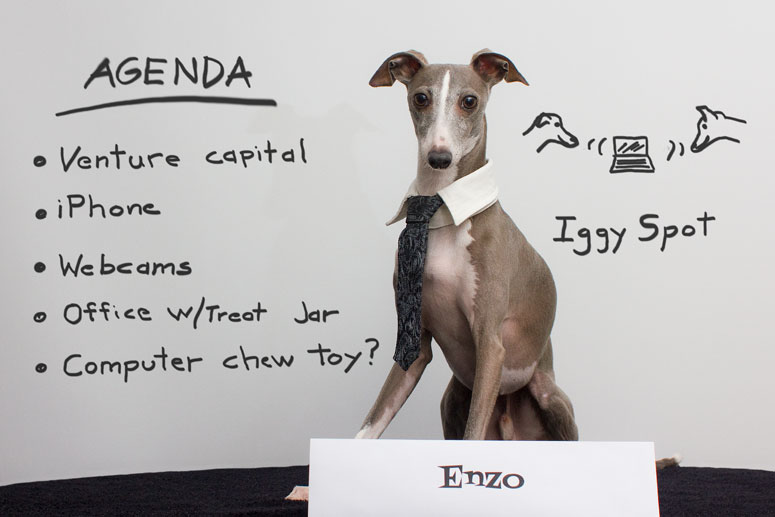 Enzo at the whiteboard