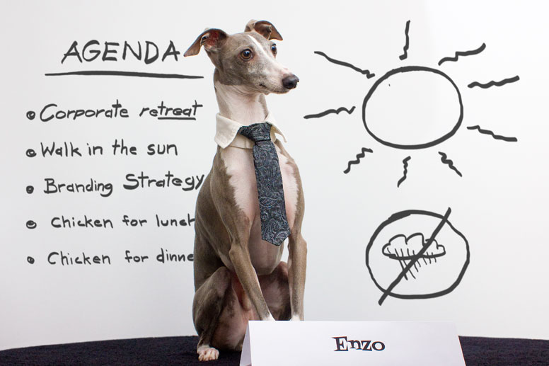 Enzo at the whiteboard