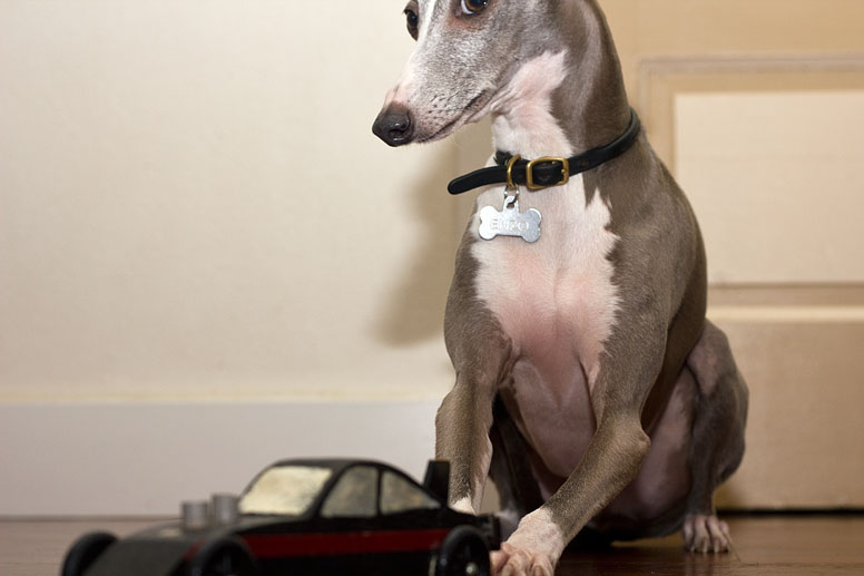 Enzo with a toy car