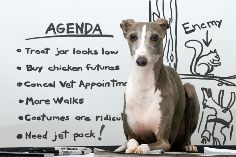 Enzo at the whiteboard