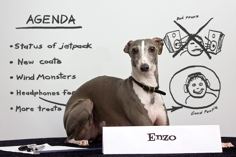 Enzo at the whiteboard